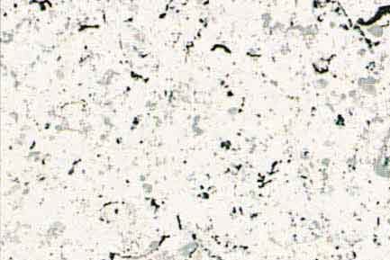 6973_image Tuxedo_White.jpeg